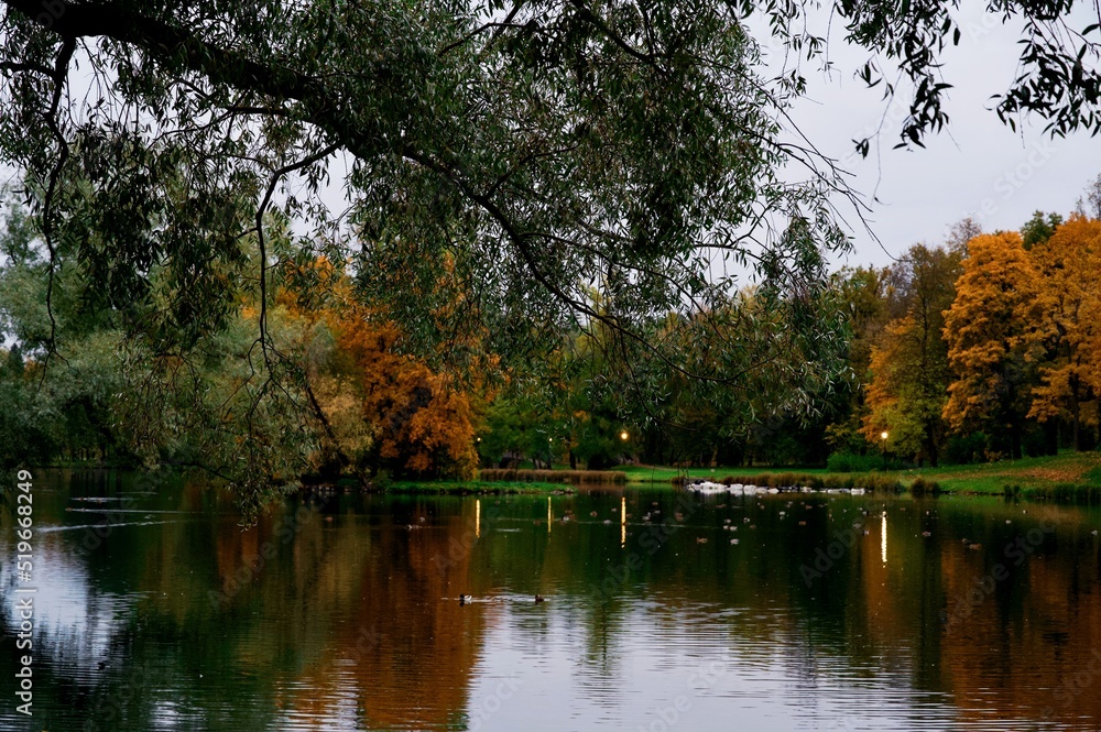 autumn trees reflected in water