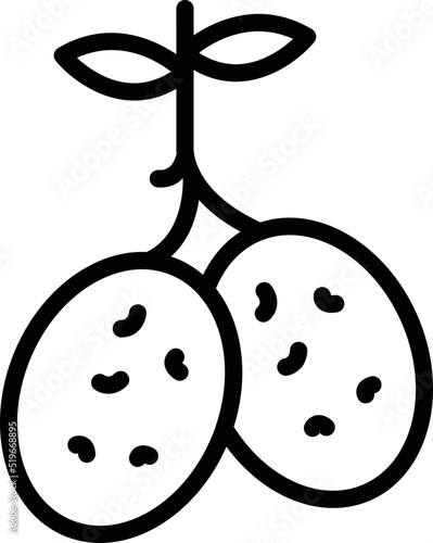 Potato plant icon outline vector. Belarus costume. Tourism map
