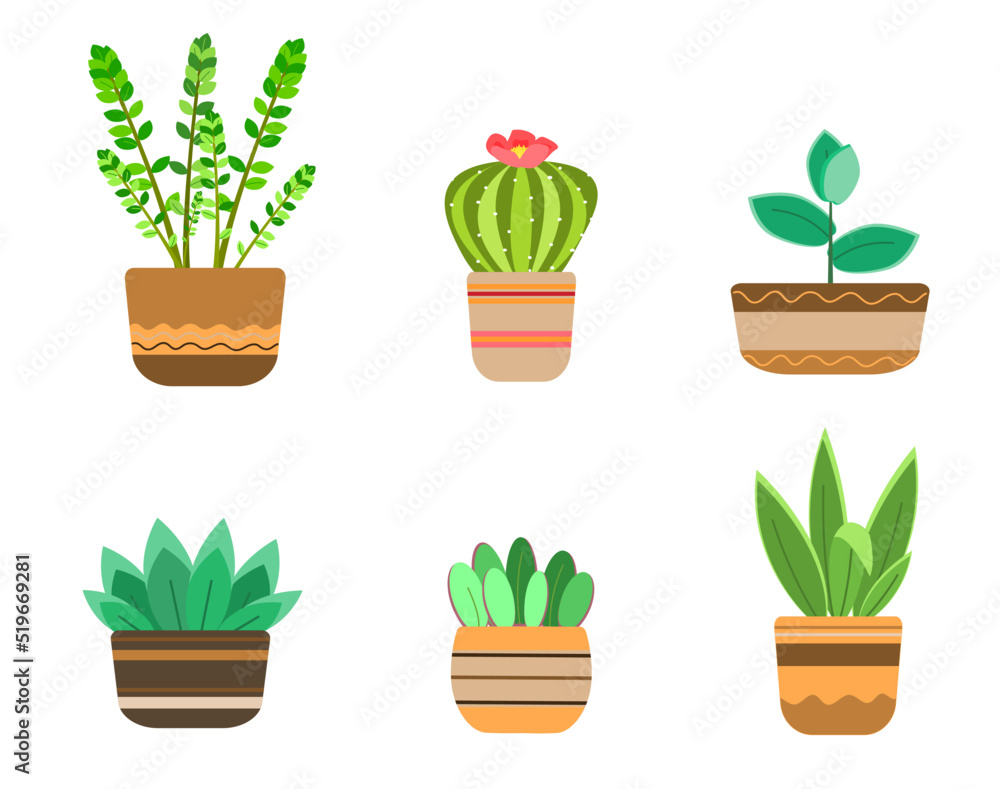 Set with home plants and cacti Set with home plants and cacti