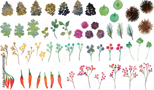 水彩画。水彩タッチの秋の植物と松ぼっくりのベクターイラストセット。秋の木の実と葉っぱの挿絵。Watercolor. Vector illustration set of autumn plants and pine cones with watercolor touch. Illustration of autumn berries and leaves.