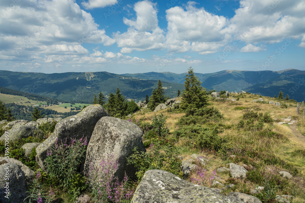 landscape view in the vosges mountains
