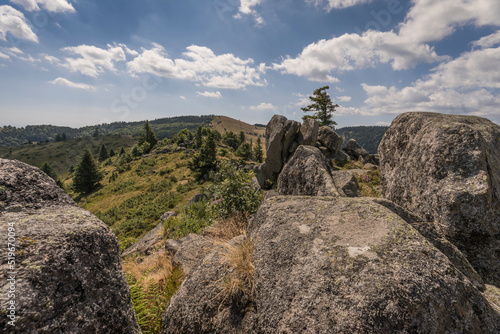 landscape view in the vosges mountains