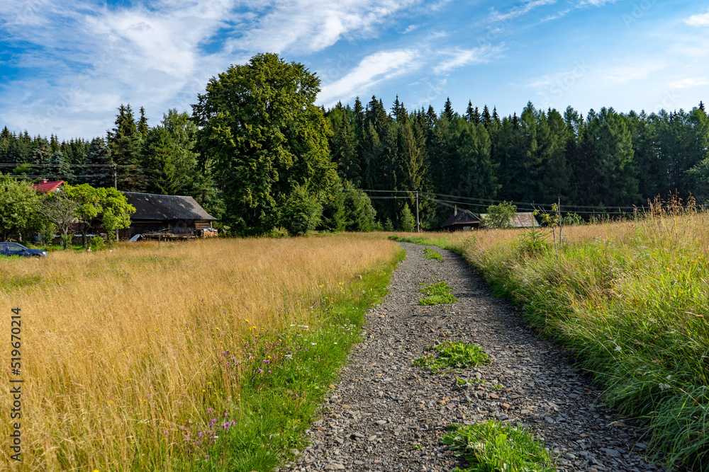 picturesque view to a dirt road somewhere on an abandoned place in the mountains, sunrise scenery, no people, copy space, Slovakia, Europe