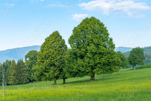 picturesque landscape scenery, blue sky, green grass, Slovakia, Europe © fotomolka