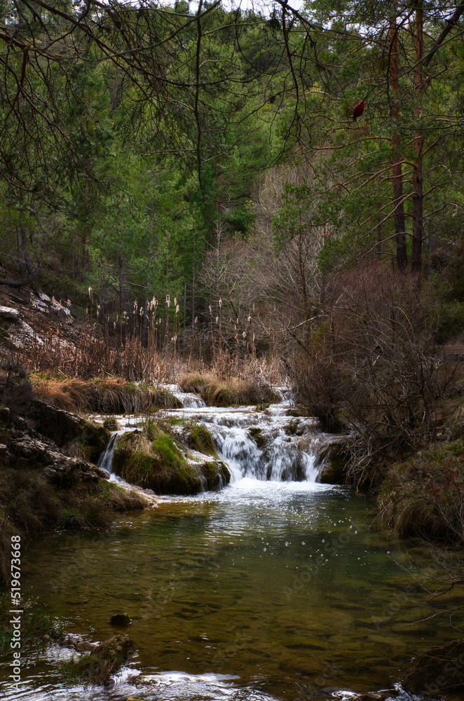 mountain stream with small waterfall