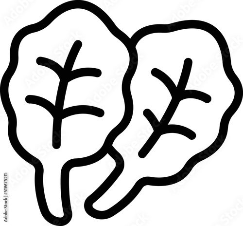 Spinach leaf icon outline vector. Paleo diet. Vegan food