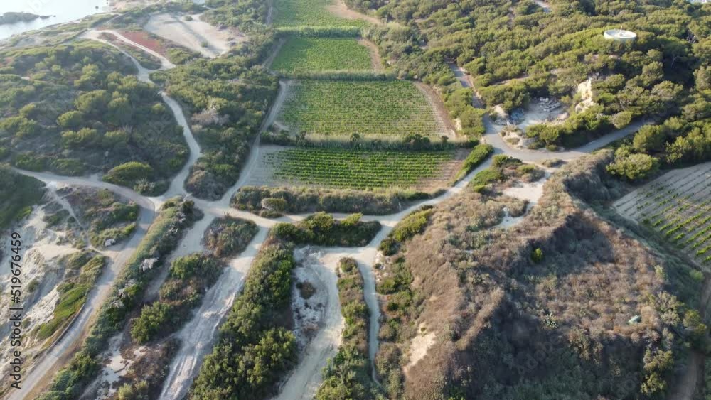 Aerial view of yacht port and small castle on island of Grand Gaou