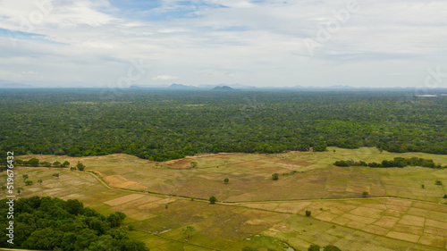Agricultural land among the rainforest and jungle. Sri Lanka.