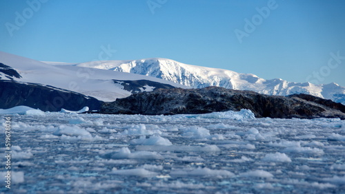Small bits of ice floating in the bay in front of snow covered mountains at Cierva Cove, Antarctica © Angela