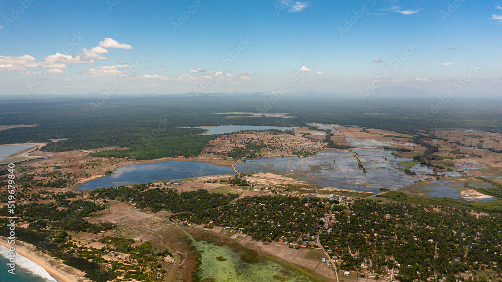 Fototapeta premium Aerial view of Agricultural plants among the jungle. Rural landscape. Sri Lanka.