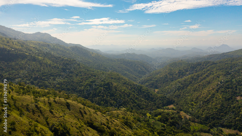 Tropical green forest in the mountains and jungle hills in the highlands of Sri Lanka.