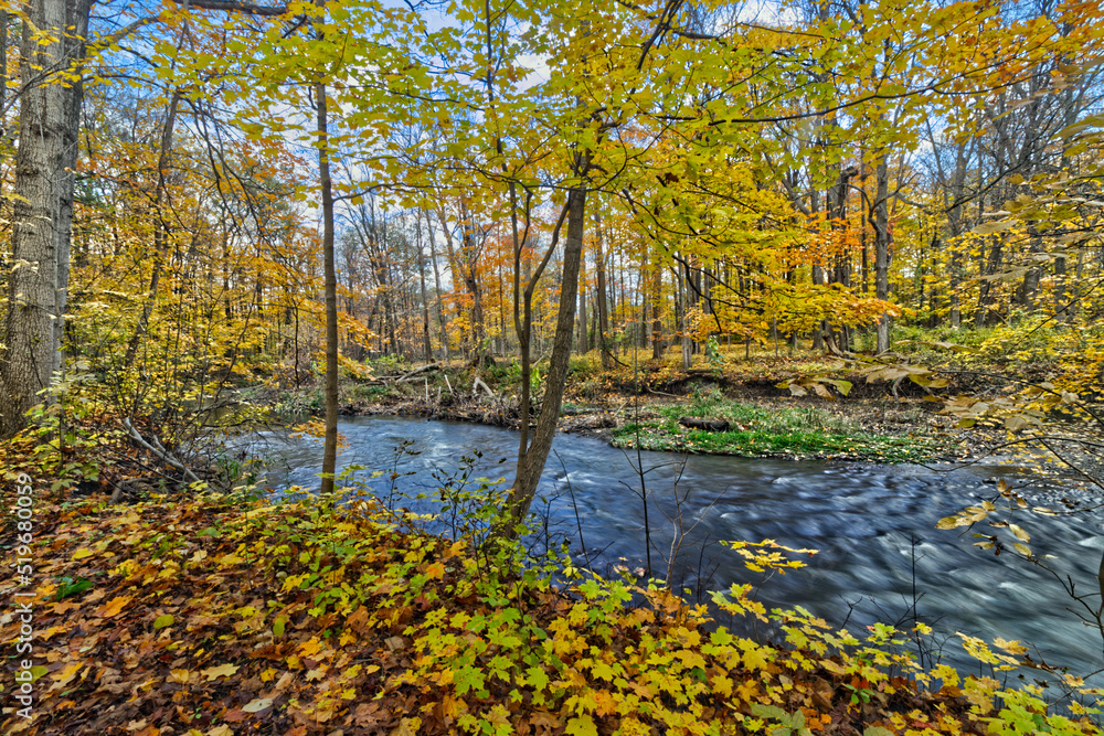 The river flow with the fall foliage like a painting - Fall in Central Ontario, Canada