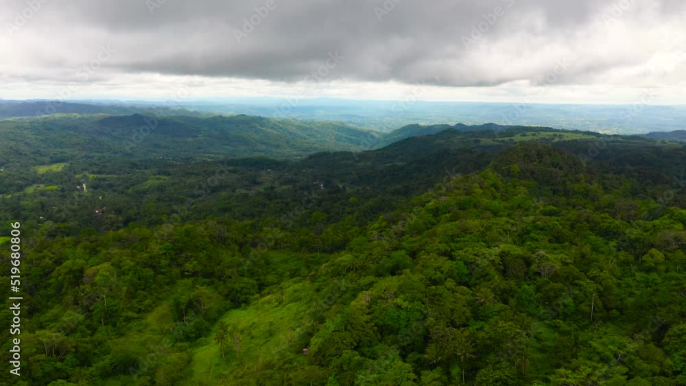 Lush green rainforest. Aerial drone view of the jungle. Bohol, Philippines. Summer landscape. Lush green rainforest. Aerial drone view of the jungle. Bohol, Philippines. Summer landscape.