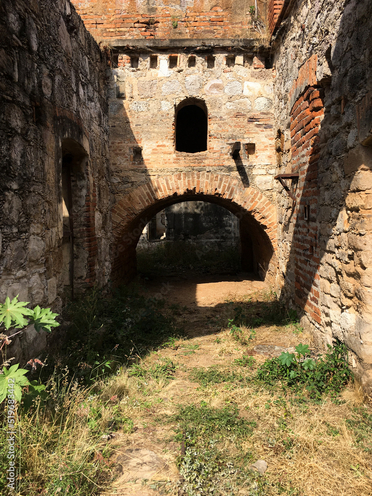 Naklejka premium old abandoned building, nature grows back brick