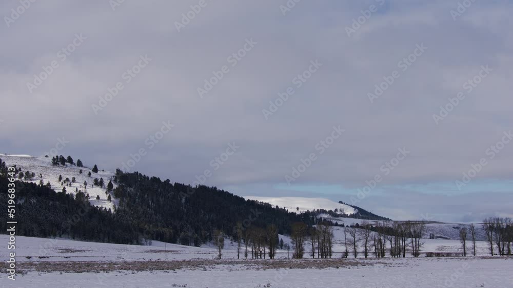 Snowy Yellowstone Landscape Snowy Yellowstone Landscape