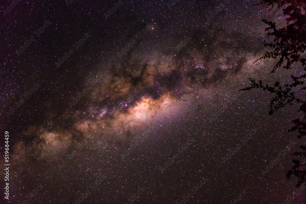 Milky Way over the Timbavati - South Africa
