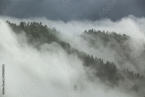 Cloud formation in amazon rainforest during monsoon wet season woods on a mountain . Fog concept. © BillionPhotos.com