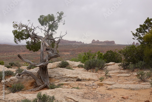 Arches National Park, Moab, Utah © Karen