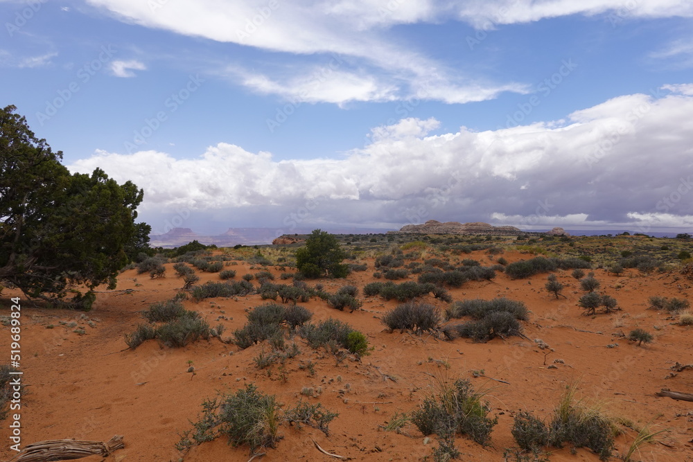Fototapeta premium Canyonlands, Moab, Utah, USA