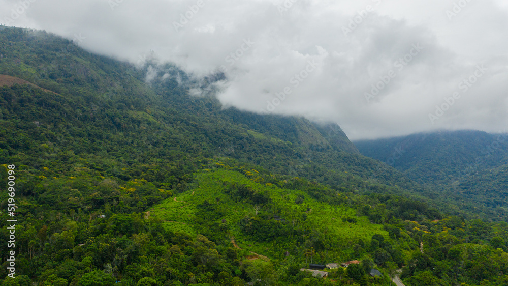 Top view of Mountain slopes with rainforest and agricultural land of farmers. Sri Lanka. Top view of Mountain slopes with rainforest and agricultural land of farmers. Sri Lanka.
