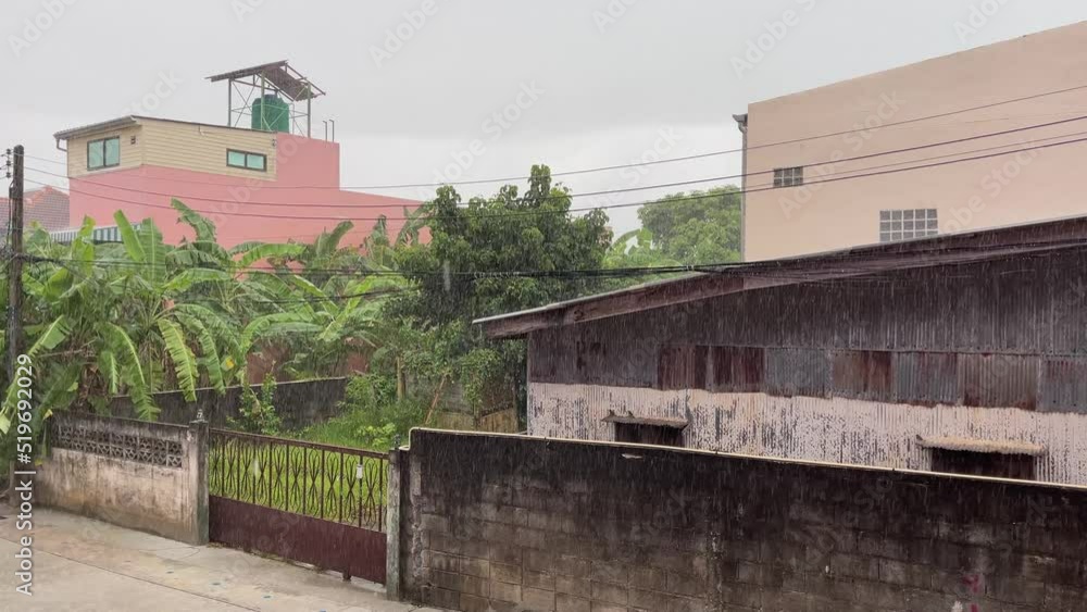Downpour on empty street with banana tree plantation and water tank on top of building in Phuket, Thailand. Monsoon season, tropical climate concepts Downpour on empty street with banana tree plantation and water tank on top of building in Phuket, Thailand. Monsoon season, tropical climate concepts