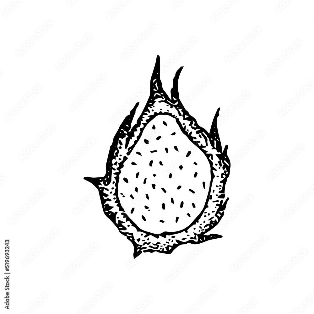 Obraz premium Dragon Fruit Dotwork. Vector Illustration of Hand Drawn Objects.