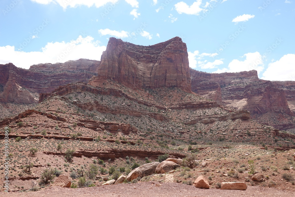 Fototapeta premium Canyonlands National Park, Moab, Utah
