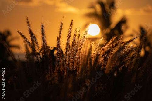 Atardeceres Magicos