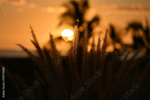 Atardeceres Magicos