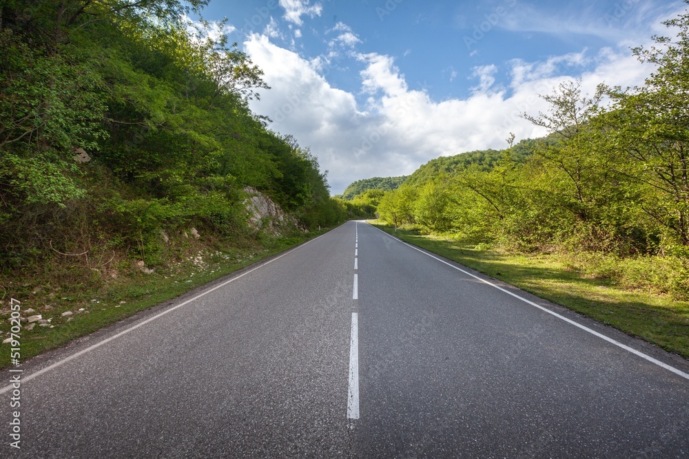 Mountain road. Landscape with green forest with road  on sky background