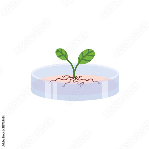Plants genetic modification and bioengineering flat vector illustration isolated.