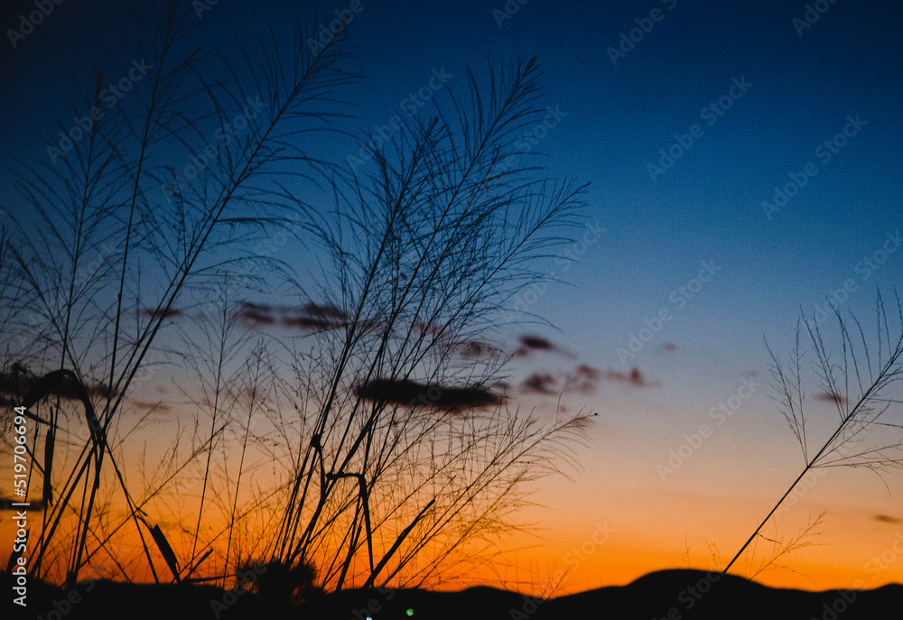 Fototapeta premium Por do sol azul