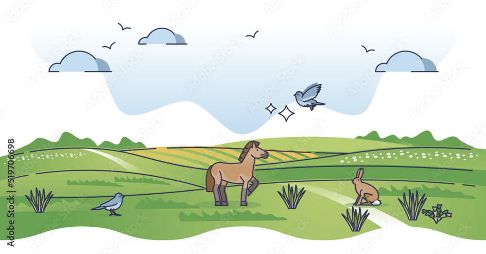 Grass fields landscape with green field biomes landform outline concept