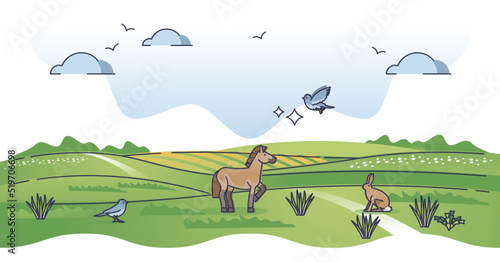 Grass fields landscape with green field biomes landform outline concept. Temperate climate type with savanna, steppe, prairie and pampas habitat for animals and plants foliage vector illustration.