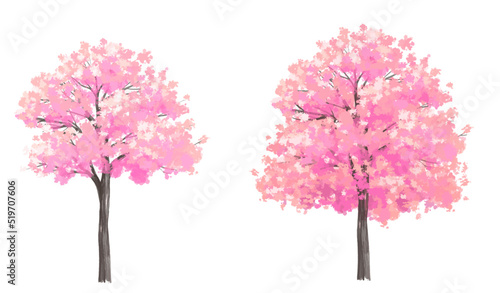 Canvas-taulu Vector watercolor blooming flower tree side view isolated on white background fo