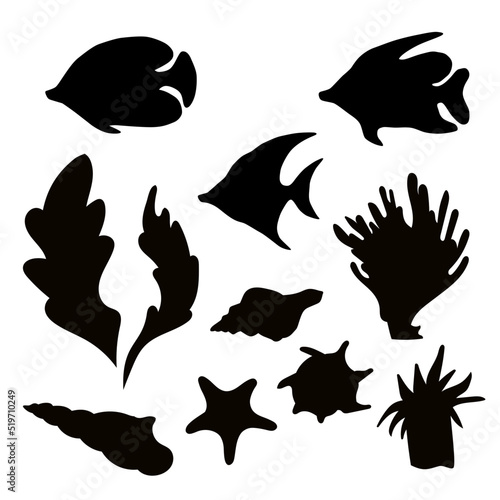 Vector set of silhouettes of fish,shells,sea plants.Black silhouettes on a white background.