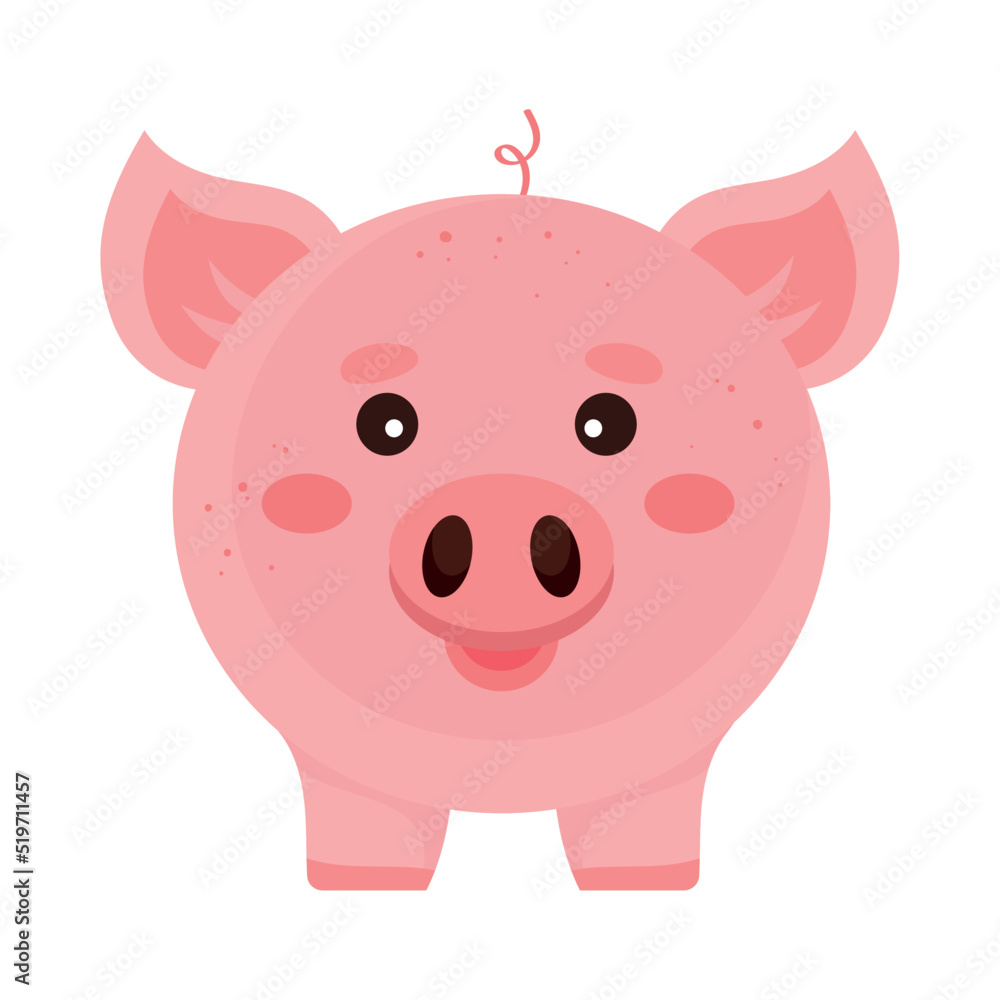 Fototapeta premium pig farm animal