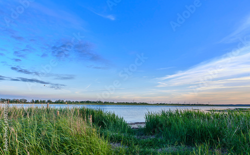 Landscape wild grass near a lake with reeds growing against a blue calm  peaceful and quiet blue horizon in nature. Secluded lagoon  river or seaside in Norway used for fishing on blue sky background