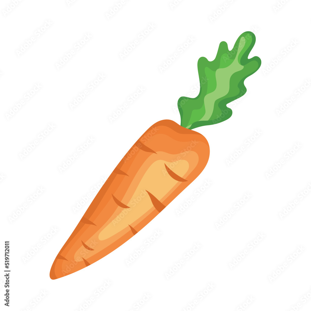 carrot fresh vegetable food carrot fresh vegetable food