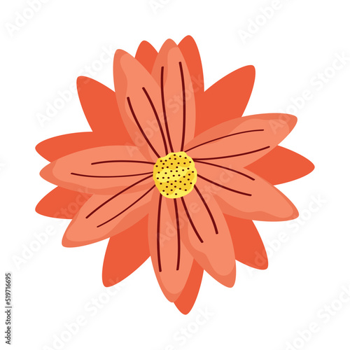 orange flower garden decoration