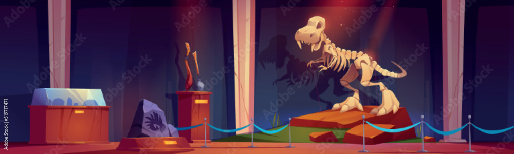 Paleontology museum with dinosaur skeleton at night. prehistoric jurassic era exhibit with Tyrannosaurus rex fossils, stone ages weapon and mollusk print ancient artifacts, Cartoon vector illustration