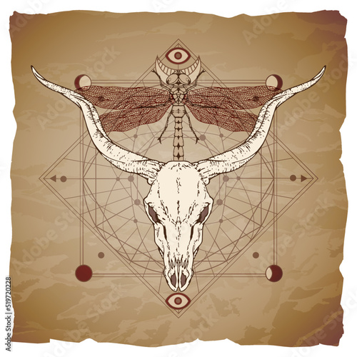Vector illustration with hand drawn buffalo skull, dragonfly and Sacred geometric symbol on vintage paper background with torn edges.