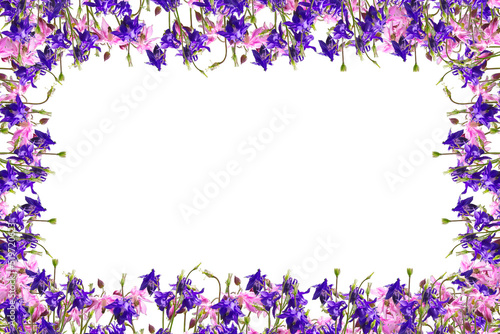 Floral frame with blue and purple bluebells isolated on white background.