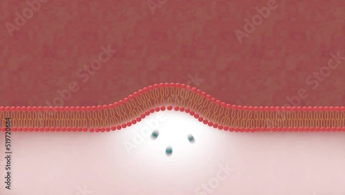 liposome,  delivery vehicles and liposome absortion, drug delivery system photo