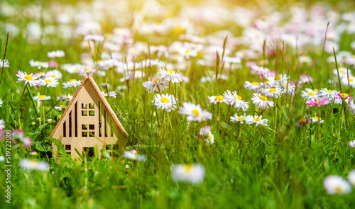 The symbol of the house stands among white daisies 