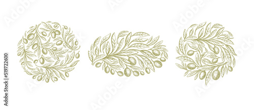 Olive label. Vector set, green leaves, oil fruit