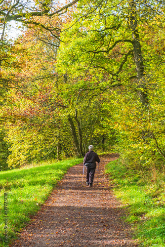 Older Female senior citizen walking with poles at autumn © Lars Johansson