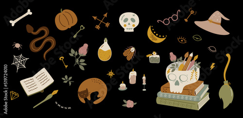 Wizard symbols collection. Dark academia. Cartoon magic set, Halloween witchcraft isolated elements. Vector doodle of witch potion, human skull, snake bug cat books pumpkin alchemy mystery objects.