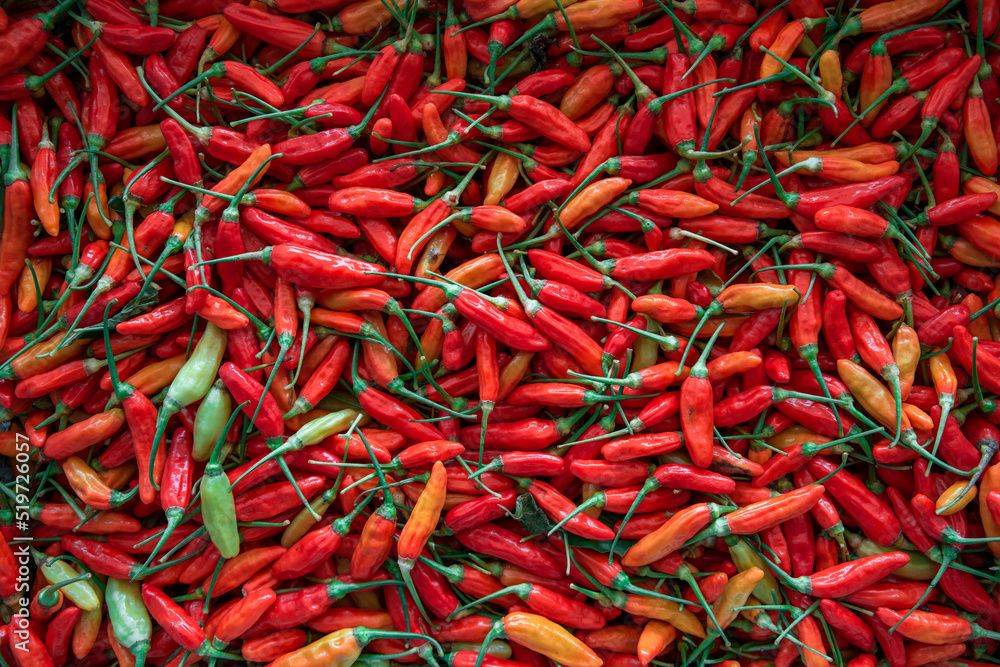 Top View Pile of Fresh Chili and Ripe Red Hot Chili in The Basket for Sale in The Vegetables Market of Bali, Indonesia Background Texture or Template to mock up or input Text