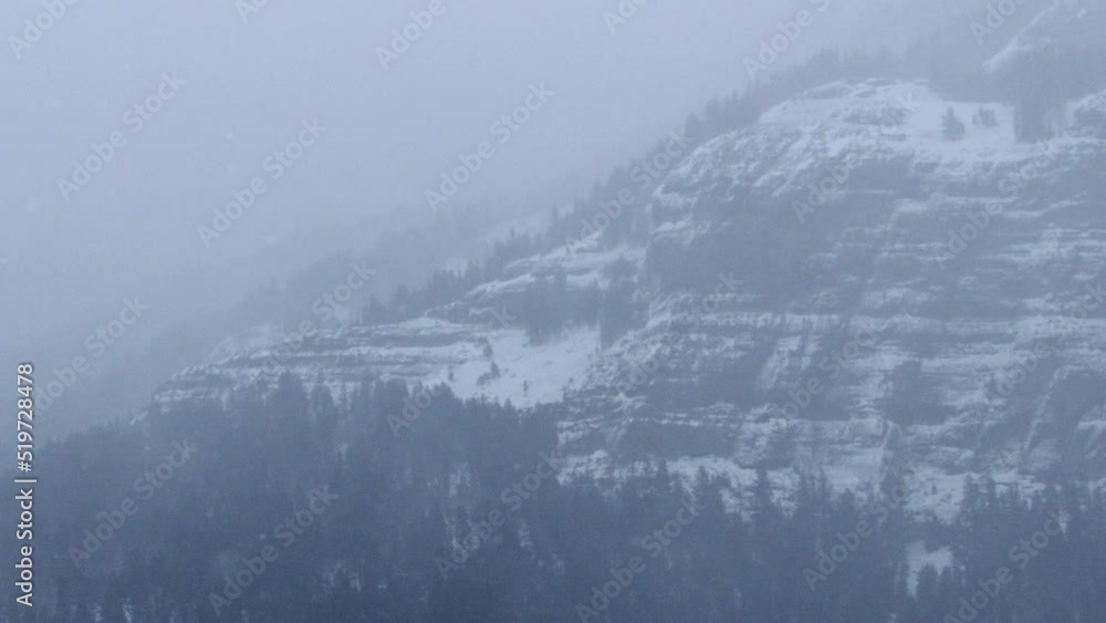 Snowy Landscape Snowy Landscape